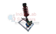 Anatomical Model of Suspension Assembly with A-Arms, Drive Shaft and Disc Brakes